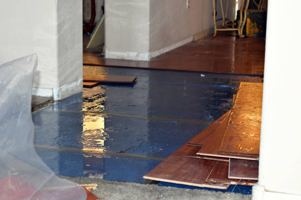 Professional Water Damage Restoration technician working in Clearfield, UT